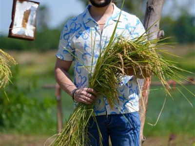 SS Rice News Convention 2025, Pattaya - Thailand